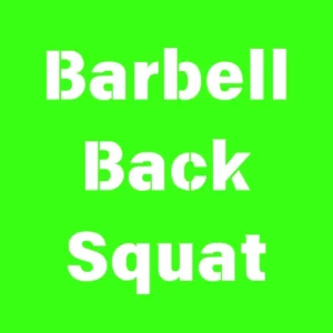 Barbell Back Squat