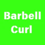 Barbell Curl