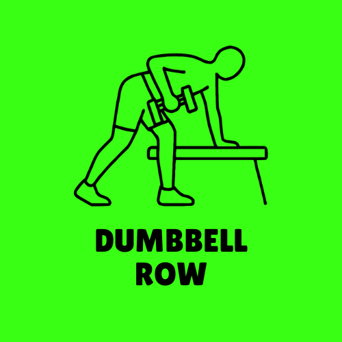 Dumbbell Row