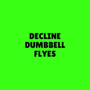 Decline Dumbbell Flyes